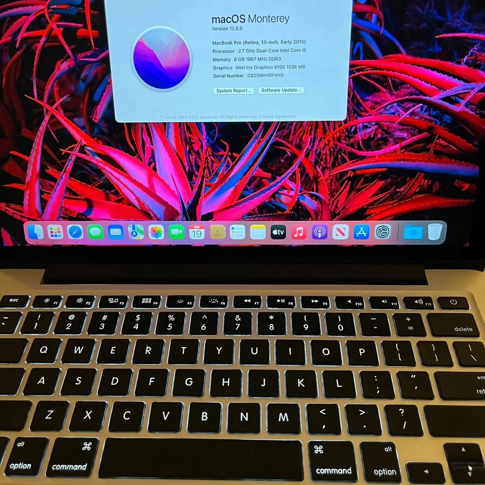 MAC BOOK PRO (Retina, 13”, 2016)